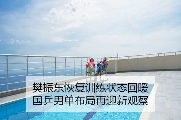 樊振东恢复训练状态回暖 国乒男单布局再迎新观察