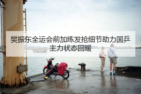 樊振东全运会前加练发抢细节助力国乒主力状态回暖