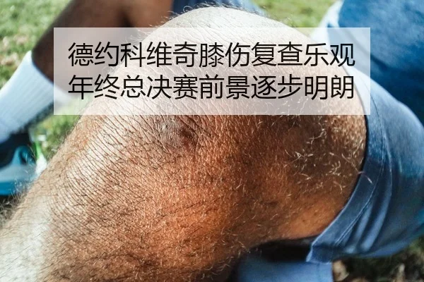 德约科维奇膝伤复查乐观 年终总决赛前景逐步明朗